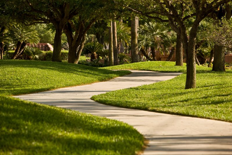 concrete footpath through a park